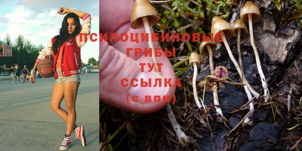 дживик Алексин