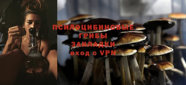 бутират Алзамай